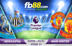 soi kèo newcastle vs man united