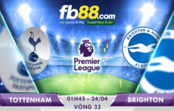 soi kèo tottenham vs brighton