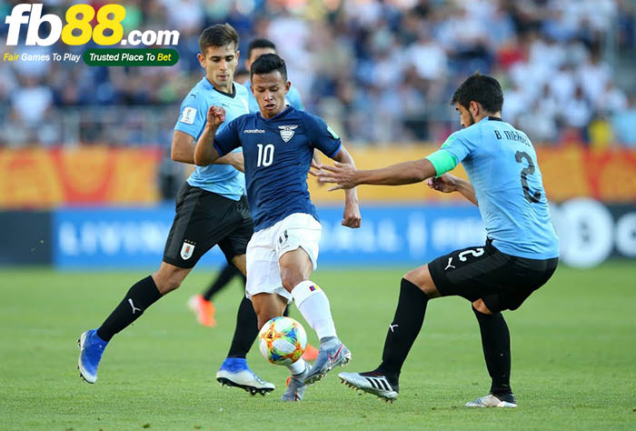 kèo nhà cái uruguay vs ecuador