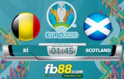 soi kèo bỉ vs scotland