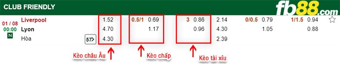 fb88-kèo chấp liverpool vs Lyon