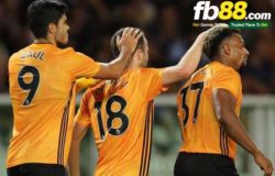 fb88-Wolves-1