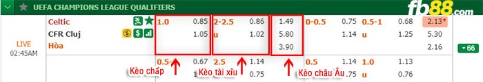 fb88-kèo chấp Celtic vs CFR Cluj