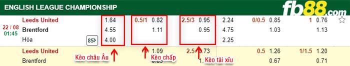 fb88-kèo chấp Leeds vs Brentford