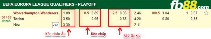 fb88-kèo chấp Wolverhampton vs Torino