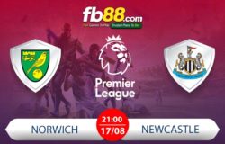 fb88-nhận định Norwich vs Newcastle