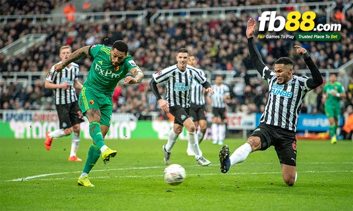 fb88-nhận định kèo bóng đá Newcastle United vs Watford