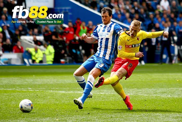 fb88-nhận định kèo bóng đá watford vs brighton