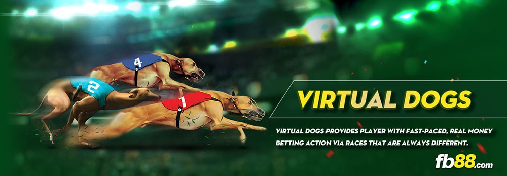 virtual greyhound