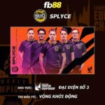 đội hình splyce