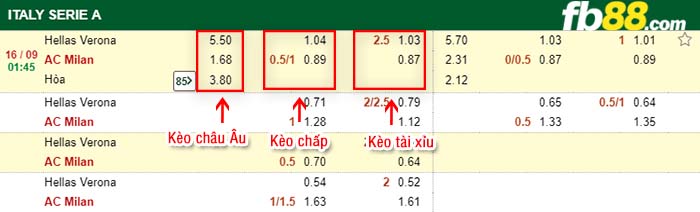 fb88-kèo chấp Hellas Verona vs AC Milan
