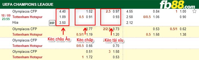 fb88-kèo chấp Olympiacos vs Tottenham