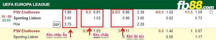 fb88-kèo chấp PSV vs Sporting