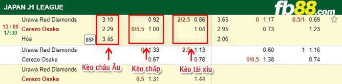 fb88-kèo chấp Urawa Red Diamonds vs Cerezo Osaka