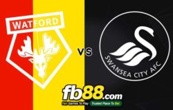 fb88-soi kèo Watford vs Swansea