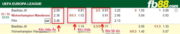 fb88-kèo chấp Besiktas vs Wolverhampton