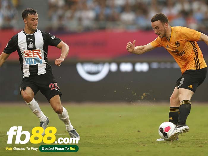 fb88-nhận định kèo bóng đá Newcastle United vs Wolverhampton Wanderers