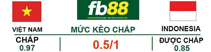 fb88-Soi kèo chấp Indonesia vs Viet Nam