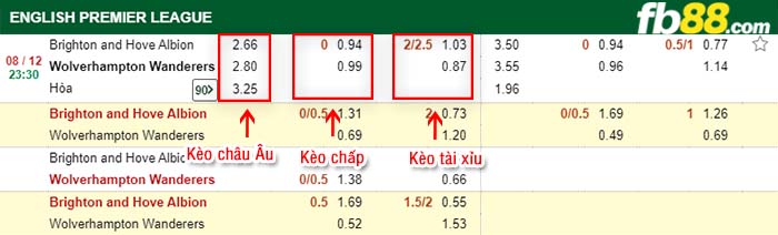fb88-kèo chấp Brighton vs Wolves
