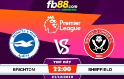 fb88-soi kèo Brighton vs Sheffield United