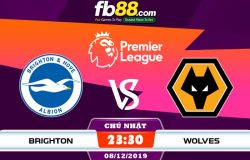 fb88-soi kèo Brighton vs Wolves