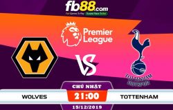 fb88-soi kèo Wolves vs Tottenham