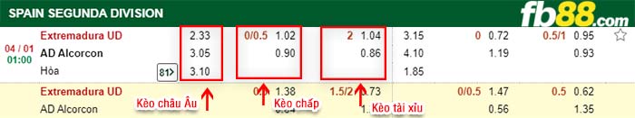 fb88-kèo chấp Extremadura UD vs AD Alcorcon