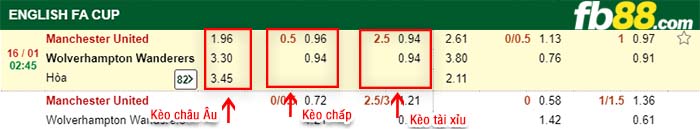 fb88-kèo chấp Manchester United vs Wolverhampton Wanderers