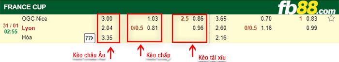 fb88-kèo chấp OGC Nice vs Lyon