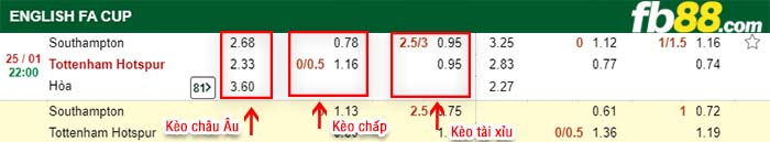 fb88-kèo chấp Southampton vs Tottenham