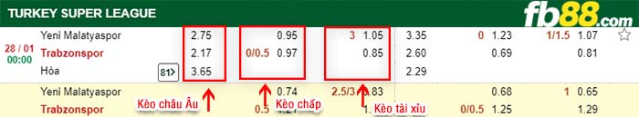 fb88-kèo chấp Yeni Malatyaspor vs Trabzonspor