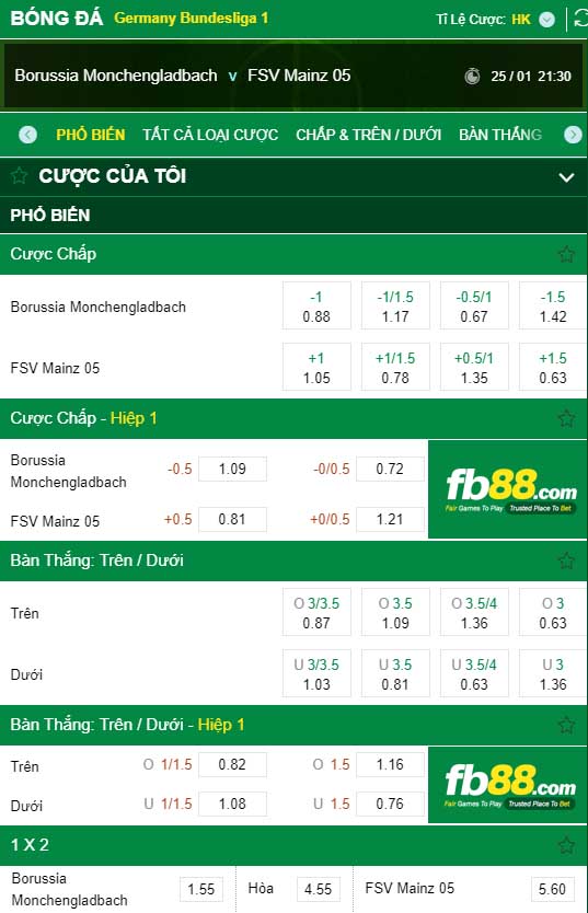 fb88-kèo nhà cái Monchengladbach vs FSV Mainz 05