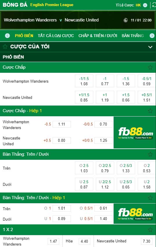 fb88-kèo nhà cái Wolverhampton Wanderers vs Newcastle United