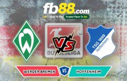 fb88-soi kèo Werder Bremen vs TSG Hoffenheim