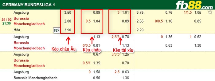 fb88-kèo chấp Augsburg vs Borussia Monchengladbach