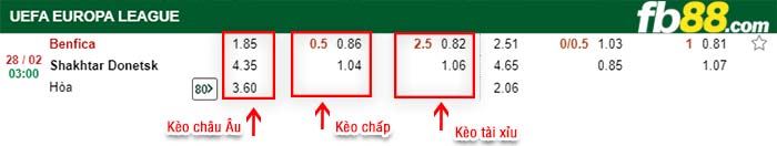 fb88-kèo chấp Benfica vs Shakhtar Donetsk