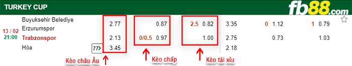 fb88-kèo chấp Buyuksehir Belediye vs Trabzonspor