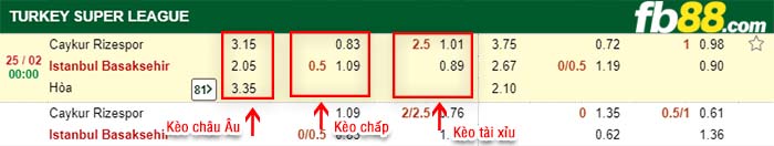 fb88-kèo chấp Caykur Rizespor vs Istanbul Basaksehir