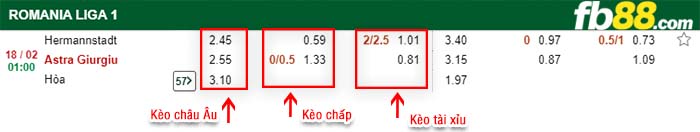 fb88-kèo chấp Hermannstadt vs Astra Giurgiu