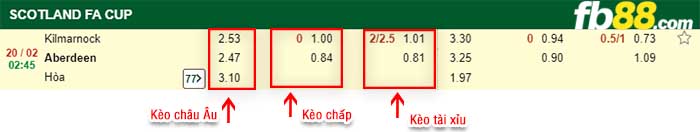 fb88-kèo chấp Kilmarnock vs Aberdeen