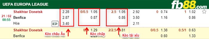 fb88-kèo chấp Shakhtar Donetsk vs Benfica