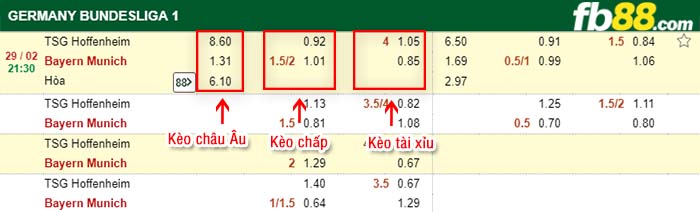 fb88-kèo chấp TSG Hoffenheim vs Bayern Munich