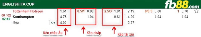 fb88-kèo chấp Tottenham Hotspur vs Southampton