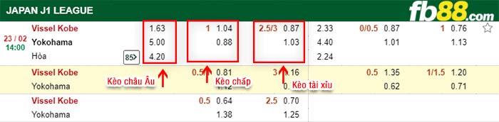 fb88-kèo chấp Vissel Kobe vs Yokohama FC
