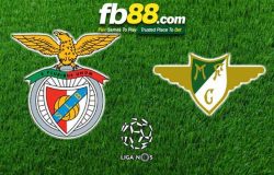 fb88-soi kèo Benfica vs Moreirense
