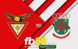 fb88-soi kèo CD Aves vs Pacos Ferreira