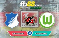 fb88-soi kèo TSG Hoffenheim vs VfL Wolfsburg
