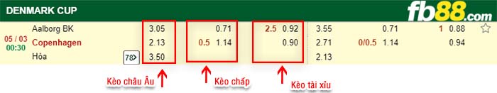fb88-kèo chấp Aalborg BK vs Copenhagen