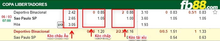 fb88-kèo chấp Binacional vs Sao Paulo