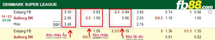 fb88-kèo chấp Esbjerg FB vs Aalborg BK